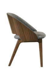 Delmon Fabric & Dark Walnut Side Chair (Set of 2)