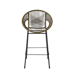 Ferrara Outdoor Patio Green Faux Wicker Barstool, Set of 2