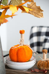 5x7" Md Pumpkin Ornament, Set of 6 for Holiday Harvest Festival Fall Festival & Thanksgiving