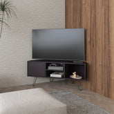 Wengue 1-Door TV Stand with Open Storage