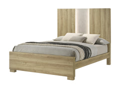 1pc Contemporary Queen Panel Bed with Integrated Lighting Driftwood Finish