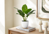 Artificial Plant, 17" Tall, Aureum, Indoor, Faux, Fake, Table, Greenery, Potted, Real Touch, Decorative, Green Leaves, White Pot