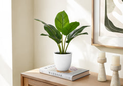 Artificial Plant, 17" Tall, Aureum, Indoor, Faux, Fake, Table, Greenery, Potted, Real Touch, Decorative, Green Leaves, White Pot