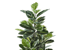 Artificial Plant, 52" Tall, Rubber Tree, Indoor, Faux, Fake, Floor, Greenery, Potted, Real Touch, Decorative, Green Leaves, Black Pot