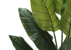 Artificial Plant, 59" Tall, Strelitzia Tree, Indoor, Faux, Fake, Floor, Greenery, Potted, Real Touch, Decorative, Green Leaves, Black Pot