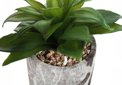 Artificial Plant, 6" Tall, Succulent, Indoor, Faux, Fake, Table, Greenery, Potted, Set Of 2, Decorative, Green Leaves, Grey Cement Pots