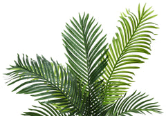 Artificial Plant, 47" Tall, Palm Tree, Indoor, Faux, Fake, Floor, Greenery, Potted, Real Touch, Decorative, Green Leaves, Black Pot