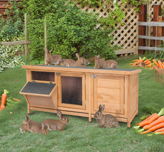 Rabbit Hutch Large Bunny Hutch, Rabbit Cage