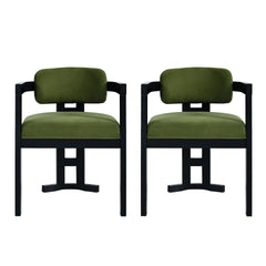 Indoor Upholstered Wood Dining Chair(Set of 2),Green+Black