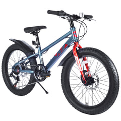 20 Inch Kids Bicycles , Fat Tire Mountain Bike for Boys and Girls Age 5 + Years ,7-Speed Dual-Disc Brake ,Kids Beach and Snow Bicycle