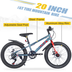 20 Inch Kids Bicycles , Fat Tire Mountain Bike for Boys and Girls Age 5 + Years ,7-Speed Dual-Disc Brake ,Kids Beach and Snow Bicycle