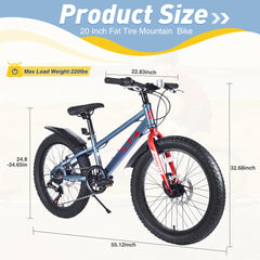 20 Inch Kids Bicycles , Fat Tire Mountain Bike for Boys and Girls Age 5 + Years ,7-Speed Dual-Disc Brake ,Kids Beach and Snow Bicycle