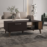 Coffee Table, 1 Door, 1 Shelf, Black / Natural Oak