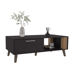 Coffee Table, 1 Door, 1 Shelf, Black / Natural Oak