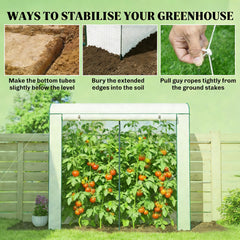 Outdoor Mini Greenhouse,Modern Greenhouse