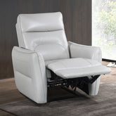 Contemporary Style Power Recliner Flare Welt Trim Arms Single Power Taupe Finish Primary Living Room