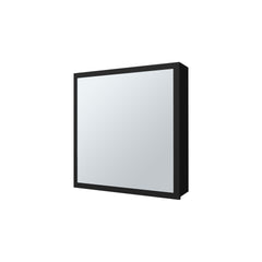 Morenci Medicine Cabinet With Included Mirror And 1 Door, Black