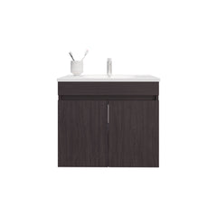 Bathroom Vanity with Sink, 2 Doors, 2 Shelves