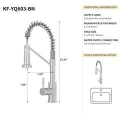 Bothwa Home CUPC Certified 19" Single Handle Kitchen Faucet (Brushed Nickel Finish)