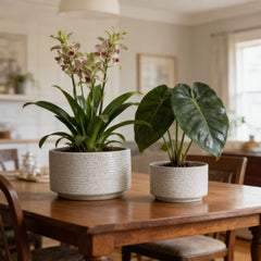 Handmade Ceramic Planter Set of 2, 11" & 8" Diameter, White with Vertical Ridges, for Aquatic Plants Indoor/Outdoor Shelf & Table Use, Breathable Non-Porous Clay