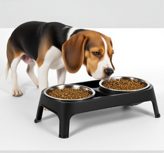 Double Stainless Steel Heavy Duty Dog Food Bowl Elevated Pet Feeding Station