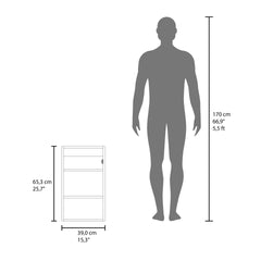 Medicine Cabinet 25.7" H, 1 Door, 3 Shelves, 1 Mirror, Black