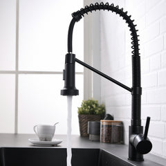 Kitchen Faucet with Pull Out Sprayer Brushed Nickel Stainless Steel Single Handle
Kitchen Sink Faucets