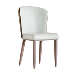Modern Dining Chair with Carbon Steel Legs – Comfortable Seating for Home & Office (Set of 2)