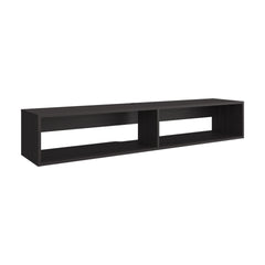 TV Stand with 2 Shelves