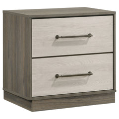 Edmondson Grey Oak 2-drawer Nightstand
