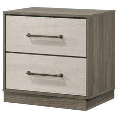 Edmondson Grey Oak 2-drawer Nightstand