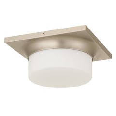 10-in Brushed Nickel LED Flush Mount