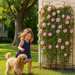 Metal Garden Trellis, 2 Pack Metal Trellis for Climbing Plants, Indoor/Outdoor Plant Trellis for Potted Plants, House Plants, Climbing Vines, Flowers and Vegetables, Lawn Garden Fence Decor Screen