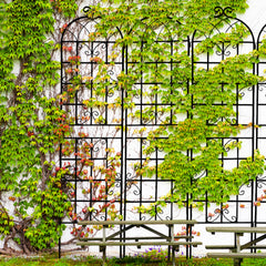 4 Pack Metal Garden Trellis 86.7" x 19.7" Rustproof Trellis for Climbing Plants Outdoor Flower Support Black