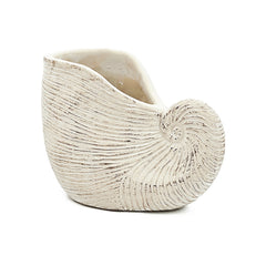 8.5x5.5x6.3" Sand and Cement Nautilus Shell Planter with Textured Beige Finish