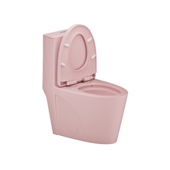Soft-close Toilet Seat Only, 23T01-RSP01