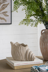 11.5x7x7" Sand and Cement Nautilus Shell Planter with Textured Beige Finish