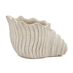 11.5x7x7" Sand and Cement Nautilus Shell Planter with Textured Beige Finish