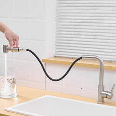 Sink Faucet, Black Kitchen Faucets with Pull out Sprayer, Bathroom Sink Faucets Mini Bar Prep Faucet