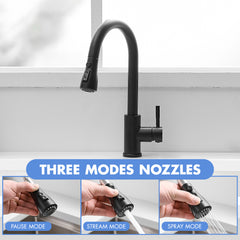 Kitchen Sink Faucet, Black Kitchen Faucets with Pull out Sprayer Stainless Steel Kitchen Faucet