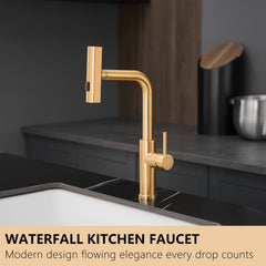 Kitchen Sink Faucet, Nickel Gold Kitchen Faucets with Pull out Sprayer, Bar Faucet Single Hole Faucet