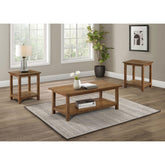 Castleton Distressed Brown 3-piece Coffee and End Table Set