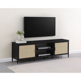 Kenneth Black 2-door Metal TV Stand