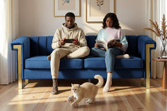 FX-P81-BU2(SOFA)