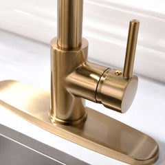 Commercial Brushed Nickel Kitchen Faucet with Pull Down Sprayer, Single Handle Single Lever Kitchen Sink Faucet with Deck Plate