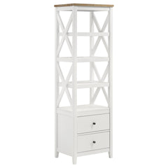 Delaney Brown and White 4-shelf Bookcase