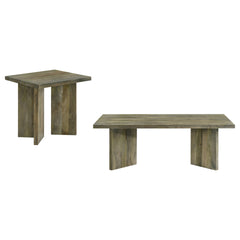 Neskowin Mango Brown 2-piece Coffee and End Table Set