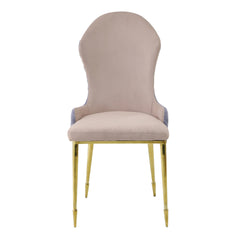 Tan and Gold Sloped Arms Dining Chairs (Set of 2)