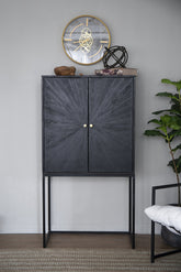 31.5x16.5x60" Cabinet, Black