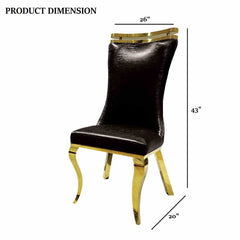 Glam Style 2pc Side Chair Black Finish Gold Legs Tiger Printed Upholstered Seat Dining Room